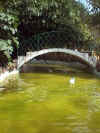 parque2m.jpg (28246 bytes)
